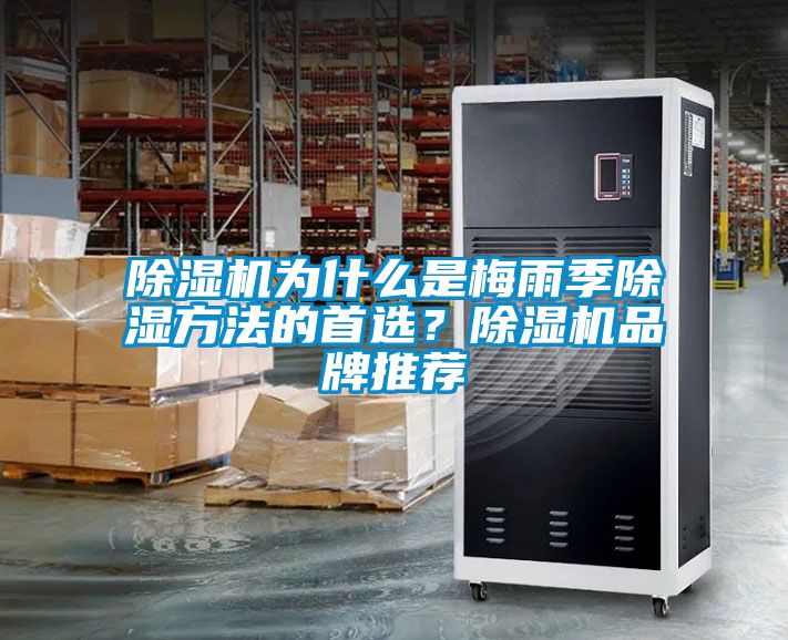 除濕機(jī)為什么是梅雨季除濕方法的首選？除濕機(jī)品牌推薦