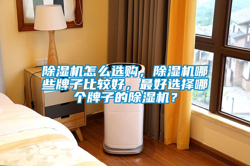 除濕機(jī)怎么選購，除濕機(jī)哪些牌子比較好，最好選擇哪個(gè)牌子的除濕機(jī)？