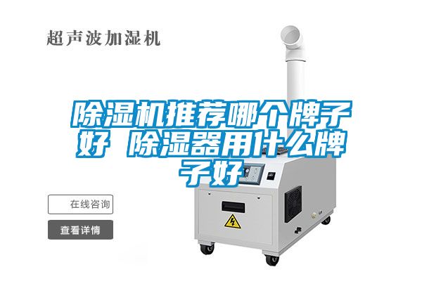 除濕機(jī)推薦哪個(gè)牌子好 除濕器用什么牌子好