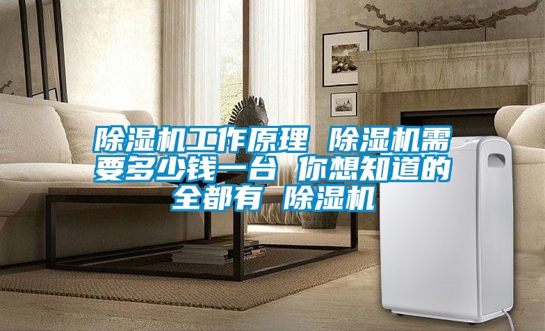 除濕機(jī)工作原理 除濕機(jī)需要多少錢一臺(tái) 你想知道的全都有 除濕機(jī)