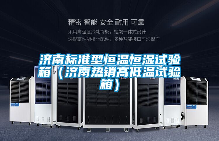 濟(jì)南標(biāo)準(zhǔn)型恒溫恒濕試驗(yàn)箱（濟(jì)南熱銷高低溫試驗(yàn)箱）