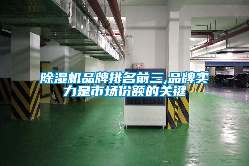 除濕機(jī)品牌排名前三,品牌實力是市場份額的關(guān)鍵