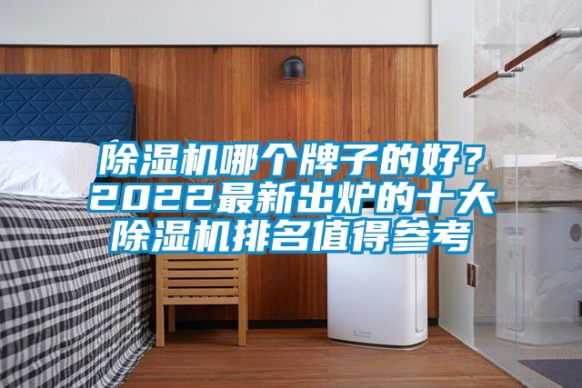 除濕機(jī)哪個(gè)牌子的好？2022最新出爐的十大除濕機(jī)排名值得參考