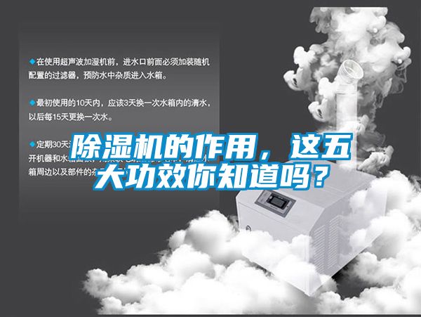 除濕機的作用，這五大功效你知道嗎？