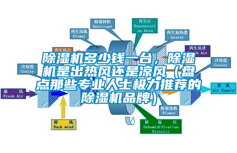 除濕機(jī)多少錢一臺，除濕機(jī)是出熱風(fēng)還是涼風(fēng)（盤點那些專業(yè)人士極力推薦的除濕機(jī)品牌）
