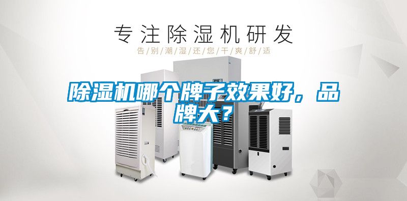 除濕機哪個牌子效果好，品牌大？