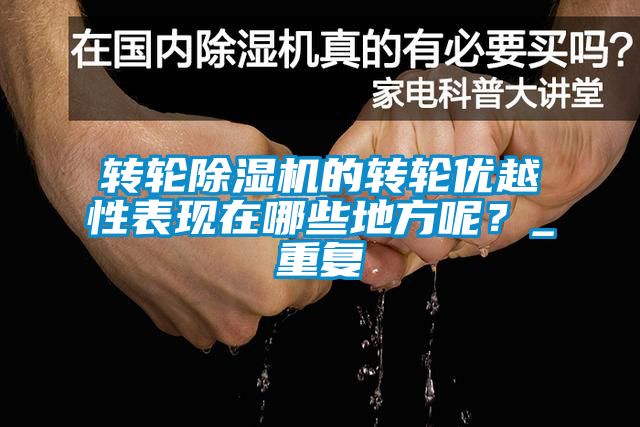 轉(zhuǎn)輪除濕機(jī)的轉(zhuǎn)輪優(yōu)越性表現(xiàn)在哪些地方呢？_重復(fù)