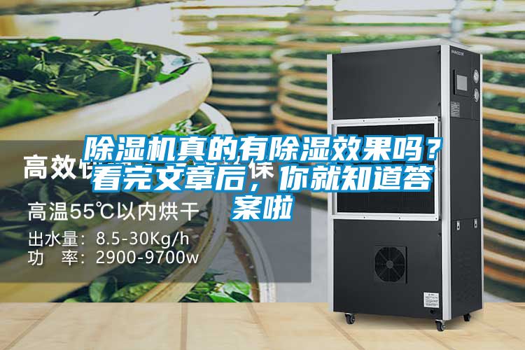 除濕機真的有除濕效果嗎？看完文章后，你就知道答案啦