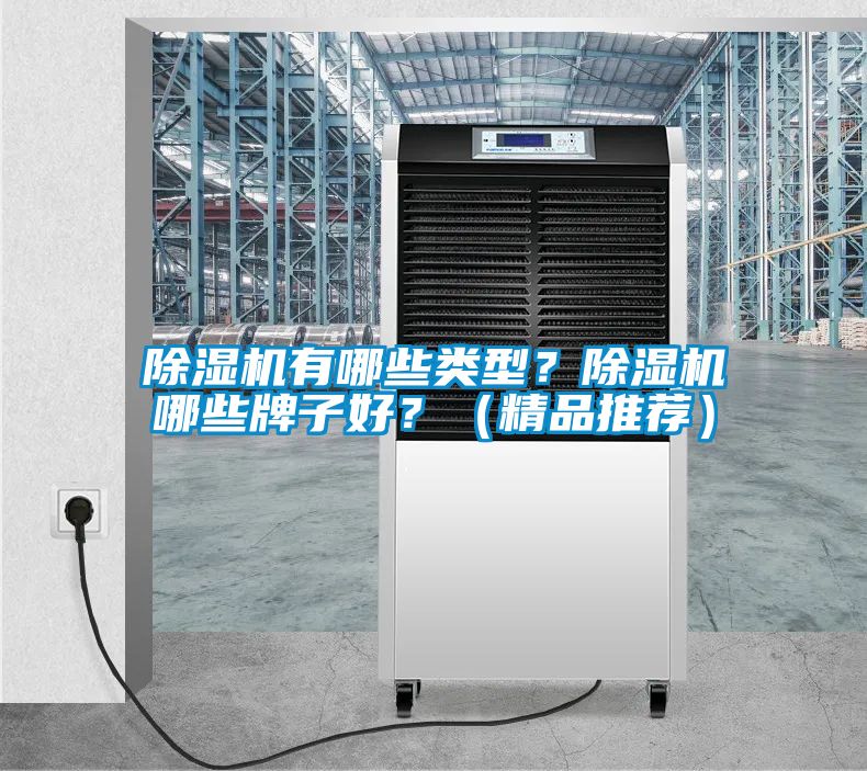 除濕機(jī)有哪些類型？除濕機(jī)哪些牌子好？（精品推薦）