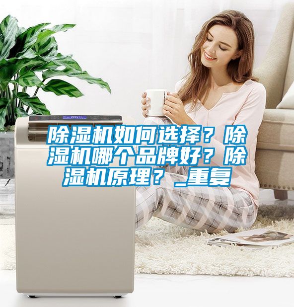 除濕機如何選擇？除濕機哪個品牌好？除濕機原理？_重復(fù)