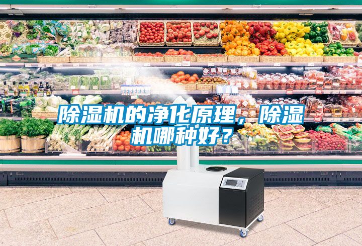 除濕機(jī)的凈化原理，除濕機(jī)哪種好？