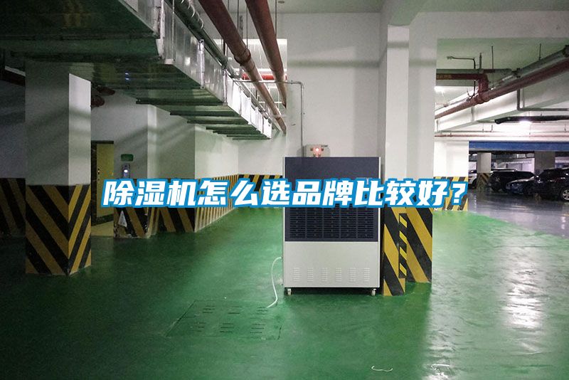 除濕機怎么選品牌比較好？