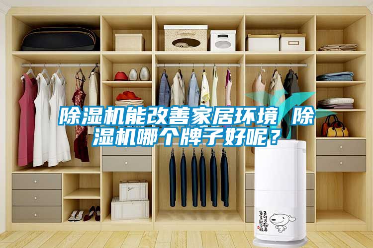 除濕機(jī)能改善家居環(huán)境 除濕機(jī)哪個牌子好呢？