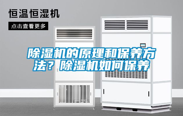 除濕機的原理和保養方法？除濕機如何保養