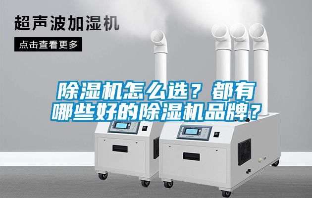 除濕機(jī)怎么選？都有哪些好的除濕機(jī)品牌？