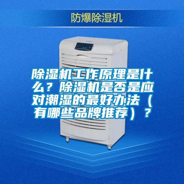 除濕機工作原理是什么？除濕機是否是應(yīng)對潮濕的最好辦法（有哪些品牌推薦）？