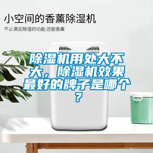除濕機用處大不大，除濕機效果最好的牌子是哪個？