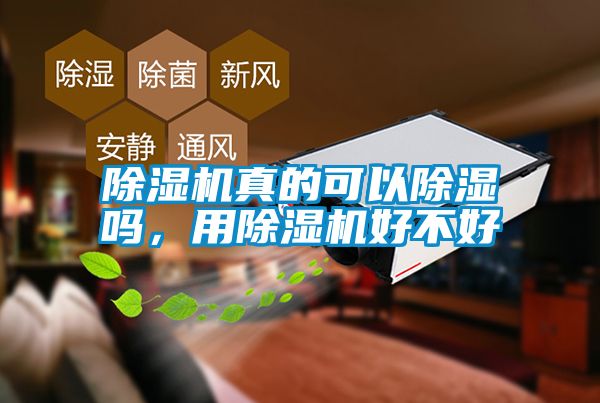 除濕機(jī)真的可以除濕嗎，用除濕機(jī)好不好