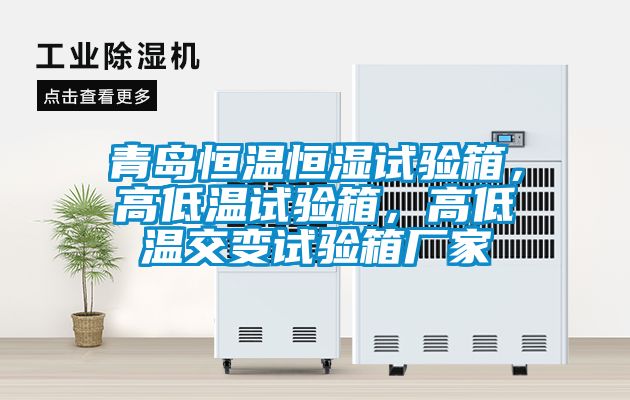 青島恒溫恒濕試驗箱，高低溫試驗箱，高低溫交變試驗箱廠家