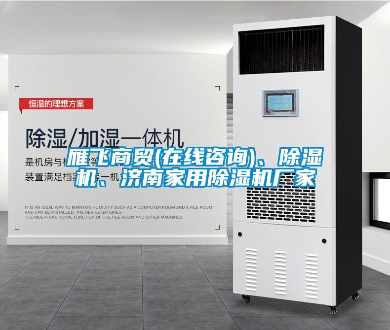 雁飛商貿(mào)(在線咨詢)、除濕機、濟南家用除濕機廠家