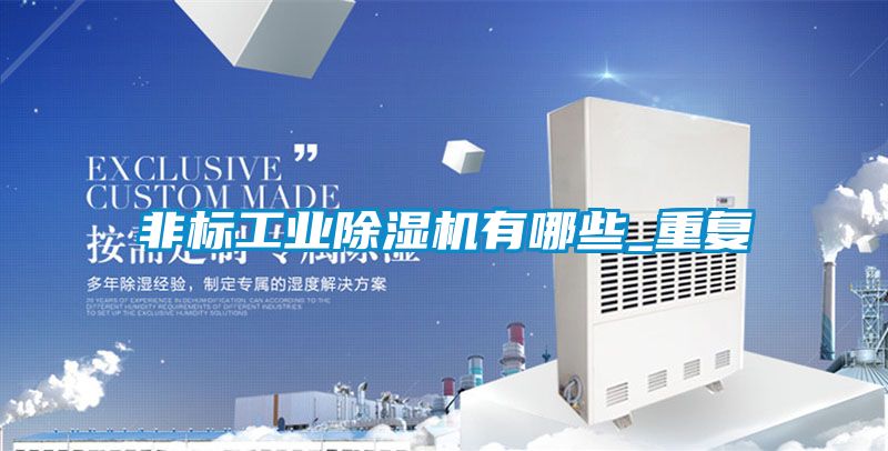 非標工業(yè)除濕機有哪些_重復