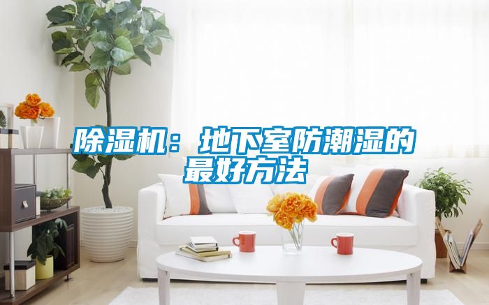 除濕機(jī)：地下室防潮濕的最好方法