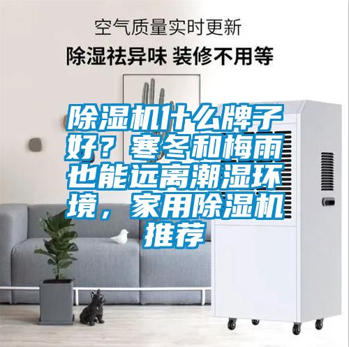 除濕機什么牌子好？寒冬和梅雨也能遠(yuǎn)離潮濕環(huán)境，家用除濕機推薦