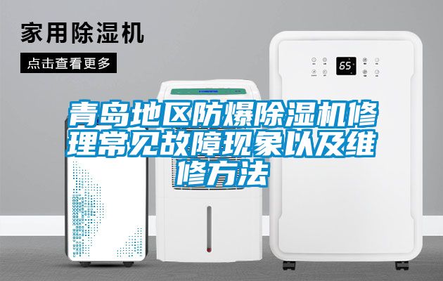青島地區(qū)防爆除濕機(jī)修理常見故障現(xiàn)象以及維修方法