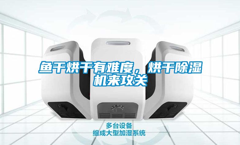 魚干烘干有難度，烘干除濕機(jī)來攻關(guān)