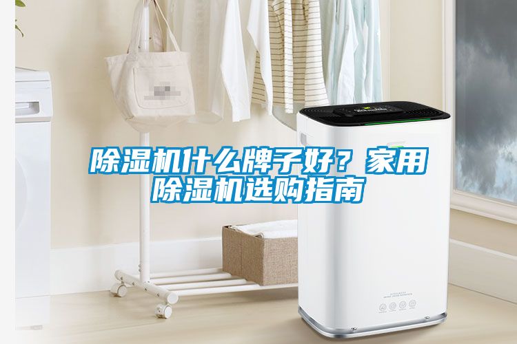 除濕機什么牌子好？家用除濕機選購指南