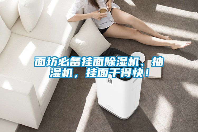 面坊必備掛面除濕機(jī)、抽濕機(jī)，掛面干得快！