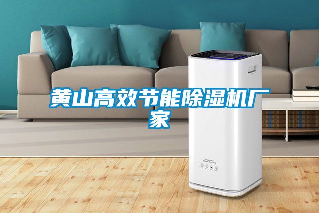 黃山高效節(jié)能除濕機廠家
