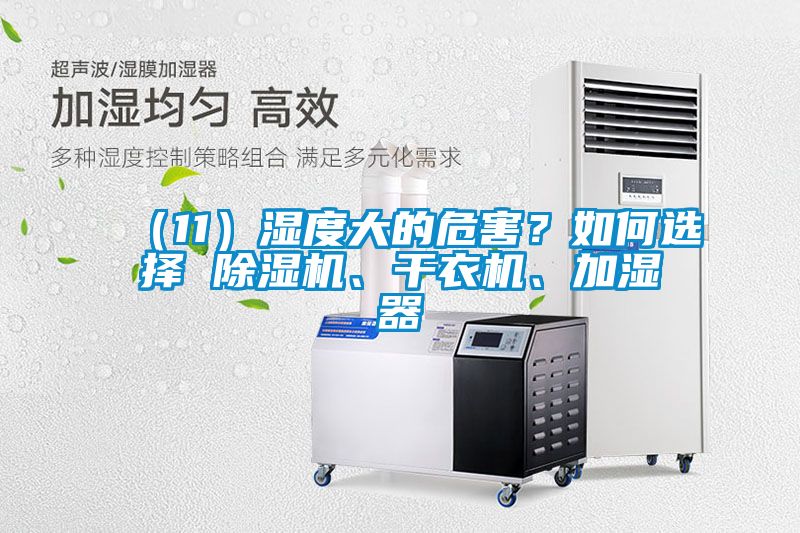 （11）濕度大的危害？如何選擇 除濕機(jī)、干衣機(jī)、加濕器