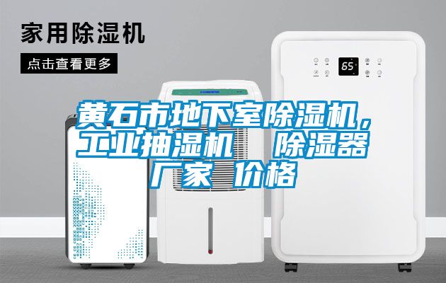黃石市地下室除濕機，工業(yè)抽濕機  除濕器廠家 價格
