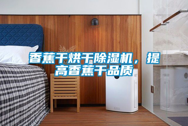 香蕉干烘干除濕機，提高香蕉干品質