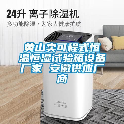 黃山賣(mài)可程式恒溫恒濕試驗(yàn)箱設(shè)備廠家 安徽供應(yīng)廠商