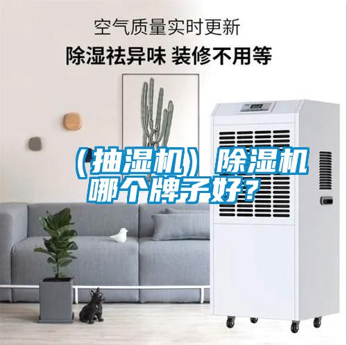 （抽濕機(jī)）除濕機(jī)哪個(gè)牌子好？