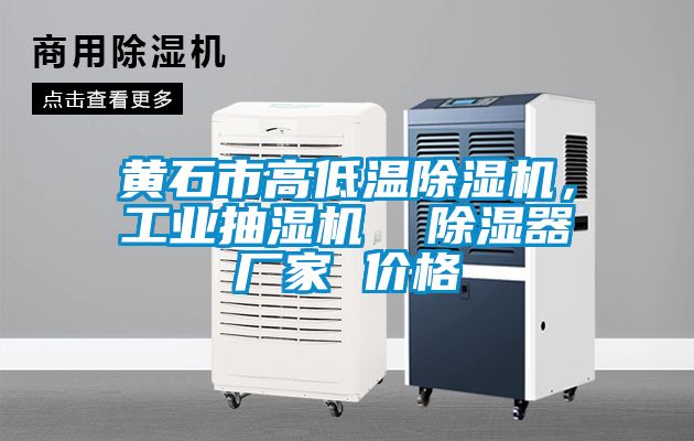 黃石市高低溫除濕機，工業抽濕機  除濕器廠家 價格