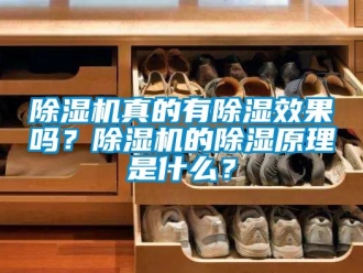 行業(yè)新聞除濕機真的有除濕效果嗎？除濕機的除濕原理是什么？