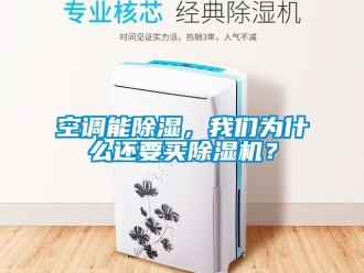 行業(yè)新聞空調(diào)能除濕，我們?yōu)槭裁催€要買除濕機(jī)？