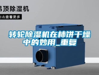 常見(jiàn)問(wèn)題轉(zhuǎn)輪除濕機(jī)在柿餅干燥中的妙用_重復(fù)