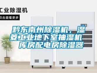常見(jiàn)問(wèn)題黔東南州除濕機(jī)，濕菱工業(yè)地下室抽濕機(jī)  庫(kù)房配電房除濕器