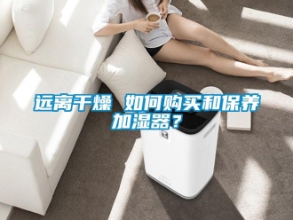 常見問題遠離干燥 如何購買和保養加濕器？