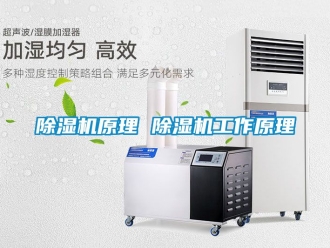 行業新聞除濕機原理 除濕機工作原理