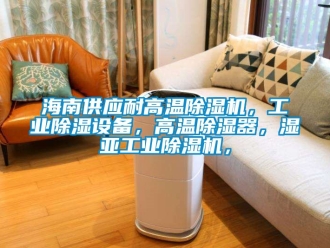 常見問題海南供應耐高溫除濕機，工業除濕設備，高溫除濕器，濕亞工業除濕機，