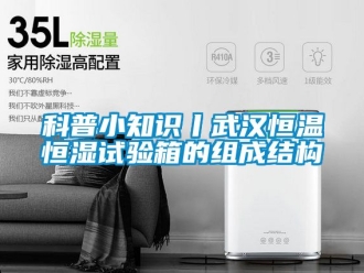 知識(shí)百科科普小知識(shí)丨武漢恒溫恒濕試驗(yàn)箱的組成結(jié)構(gòu)