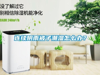 常見問題連續陰雨被子潮濕怎么辦？