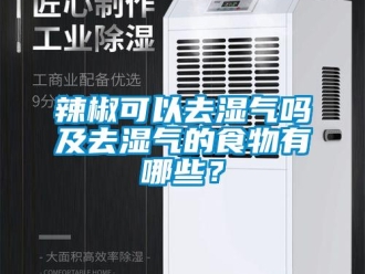 常見問題辣椒可以去濕氣嗎及去濕氣的食物有哪些？