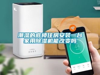 常見問題潮濕的底樓住房安裝一臺家用除濕機能改變嗎