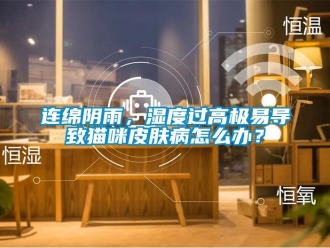 常見問題連綿陰雨，濕度過高極易導(dǎo)致貓咪皮膚病怎么辦？